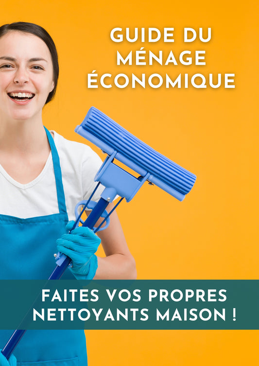 Guide du ménage économique Ebook : La solution pour un intérieur impeccable - Pristine Maison 